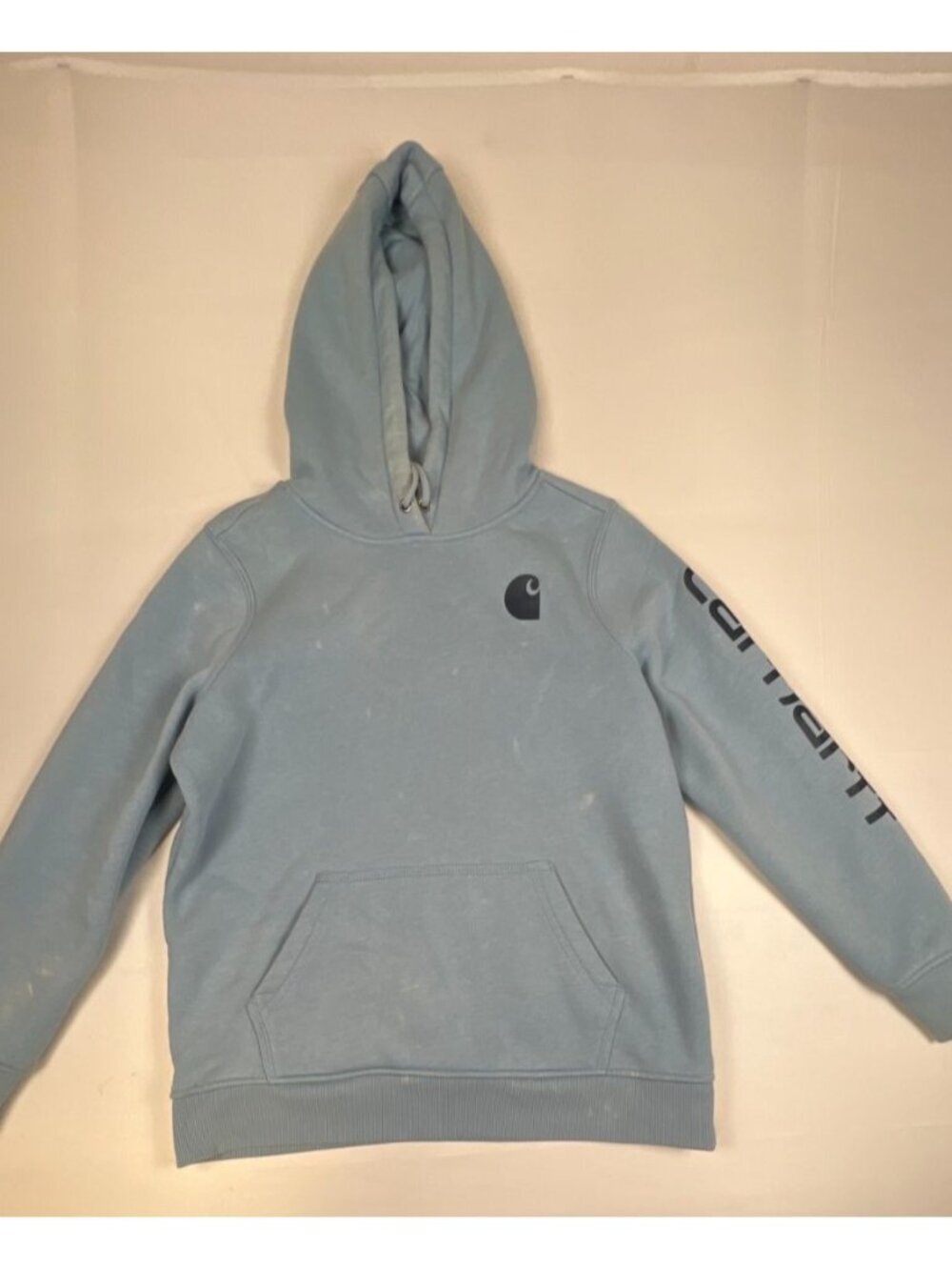 Carhartt Women Large Relaxed Fit Pullover Hoodie Light Blue Sleeve Spellout